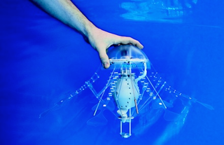 Illustration for article titled AquaJelly and AirJelly Robot Jellyfish At Home In the Water or the Sky